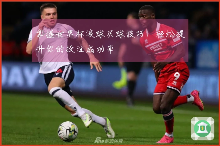 掌握世界杯滚球买球技巧，轻松提升你的投注成功率