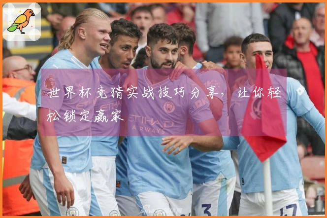 世界杯竞猜实战技巧分享，让你轻松锁定赢家