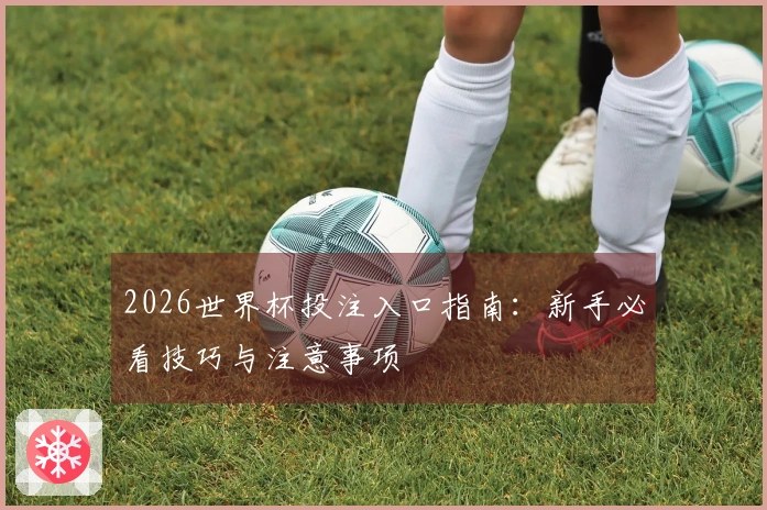 2026世界杯投注入口指南：新手必看技巧与注意事项