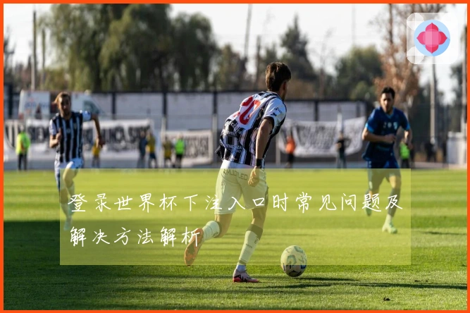 登录世界杯下注入口时常见问题及解决方法解析