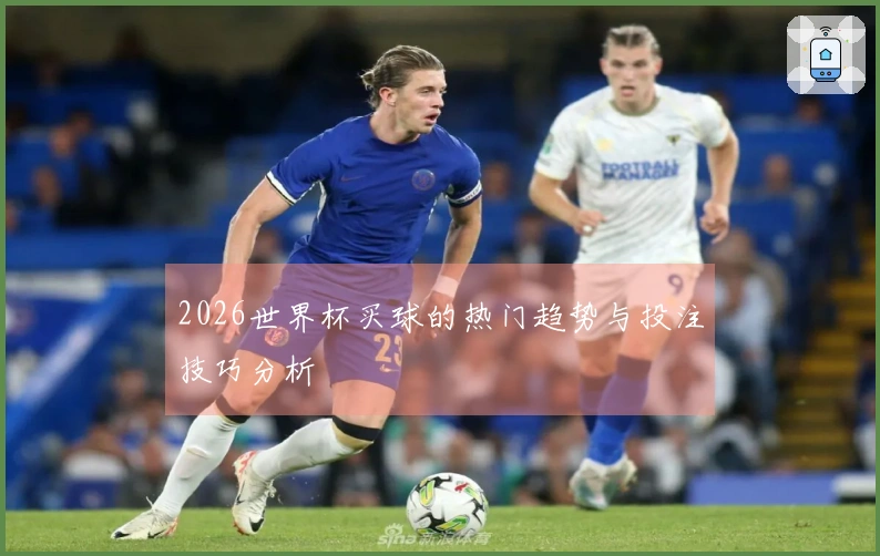2026世界杯买球的热门趋势与投注技巧分析