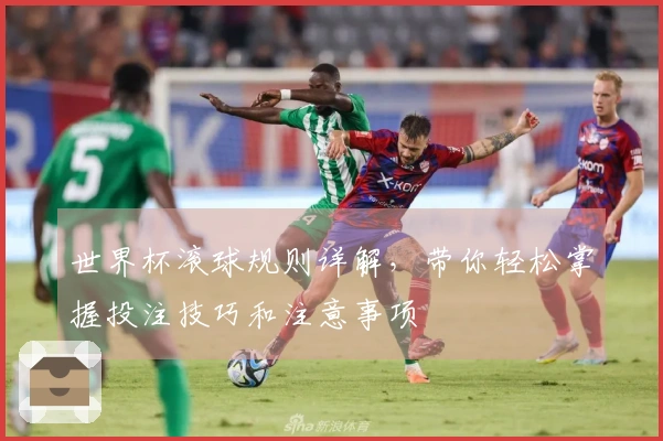 世界杯滚球规则详解，带你轻松掌握投注技巧和注意事项
