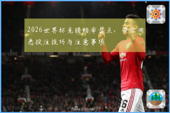 2026世界杯竞猜赔率盘点，带你洞悉投注技巧与注意事项