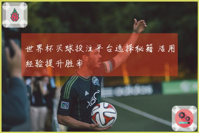 世界杯买球投注平台选择秘籍 活用经验提升胜率