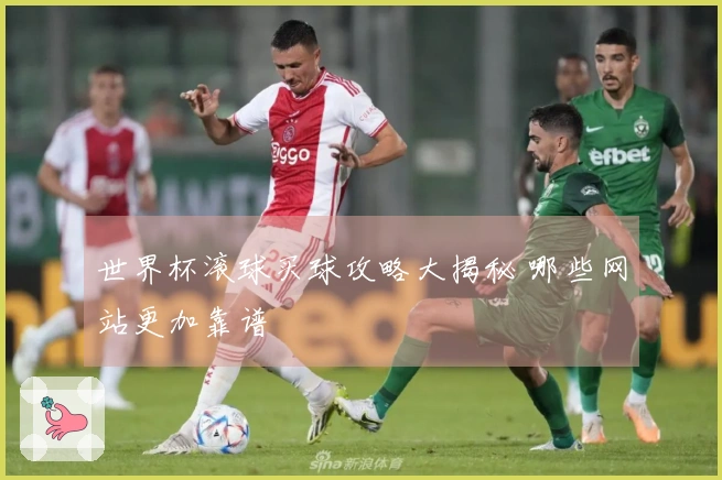 世界杯滚球买球攻略大揭秘 哪些网站更加靠谱