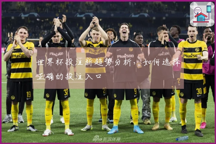 世界杯投注新趋势分析，如何选择正确的投注入口