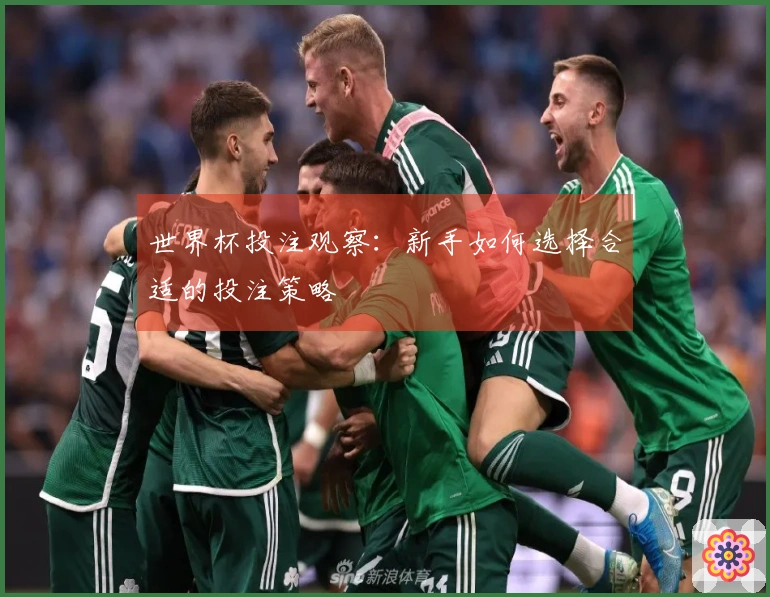 世界杯投注观察：新手如何选择合适的投注策略