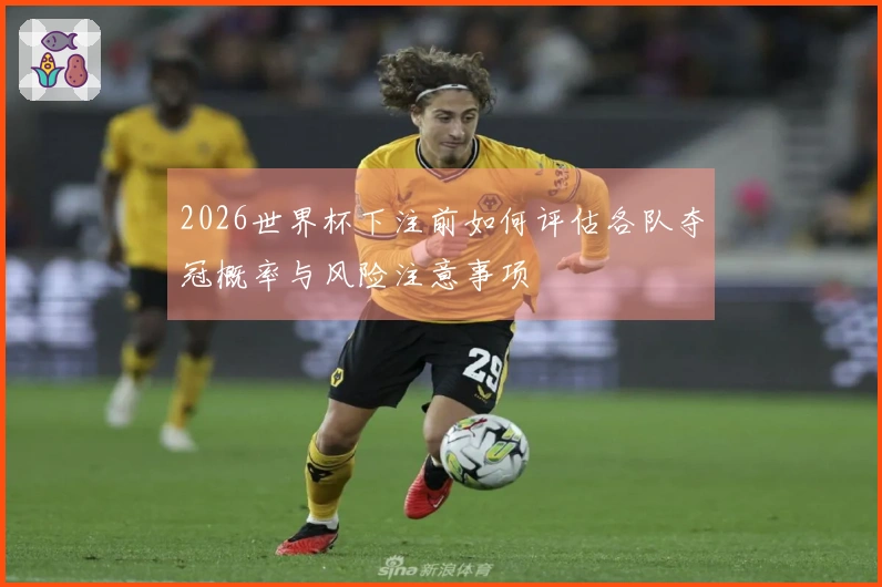 2026世界杯下注前如何评估各队夺冠概率与风险注意事项