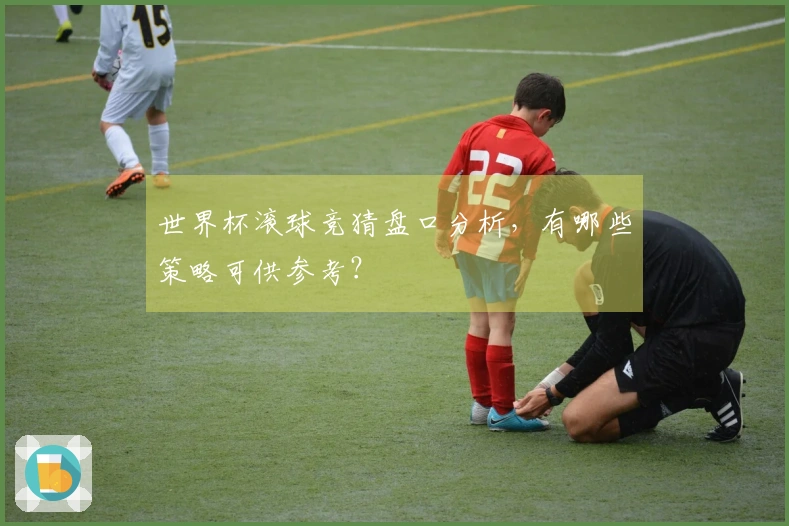 世界杯滚球竞猜盘口分析，有哪些策略可供参考？
