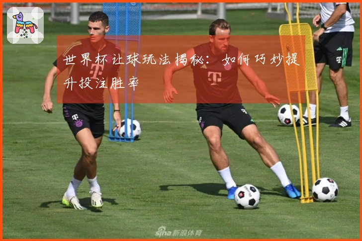 世界杯让球玩法揭秘：如何巧妙提升投注胜率