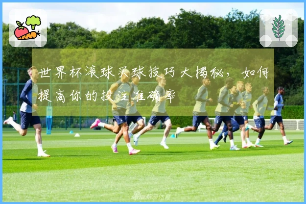 世界杯滚球买球技巧大揭秘，如何提高你的投注准确率