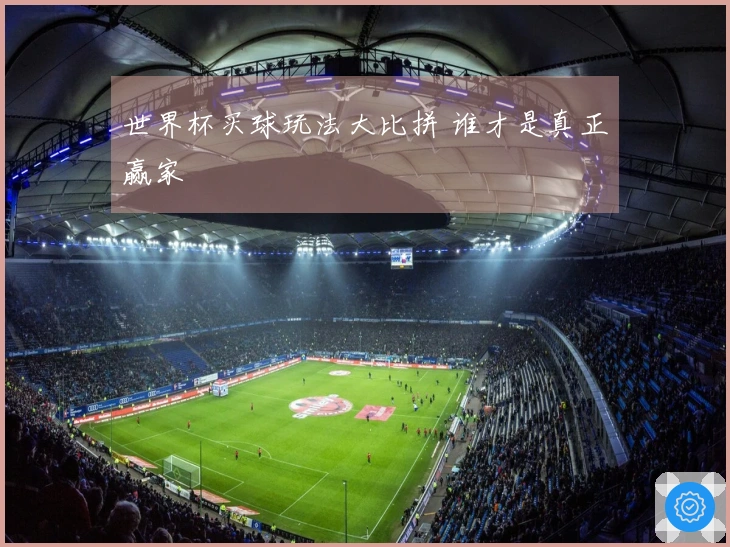 世界杯买球玩法大比拼 谁才是真正赢家
