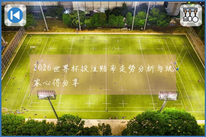 2026世界杯投注赔率走势分析与玩家心得分享