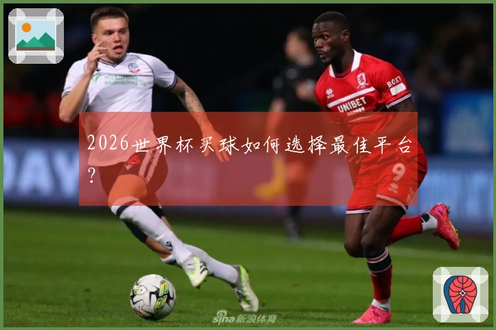 2026世界杯买球如何选择最佳平台？