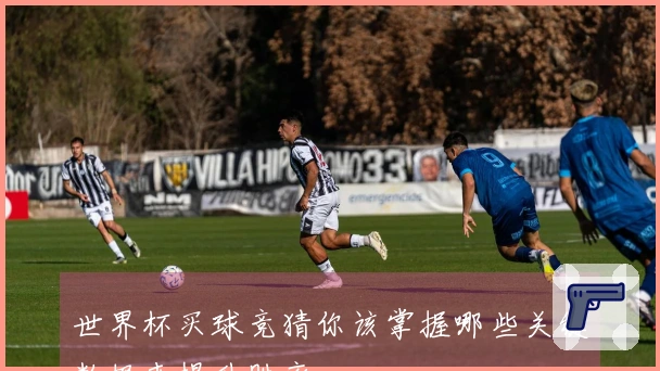 世界杯买球竞猜你该掌握哪些关键数据来提升胜率
