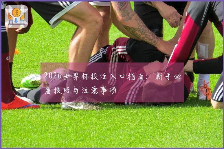 2026世界杯投注入口指南：新手必看技巧与注意事项