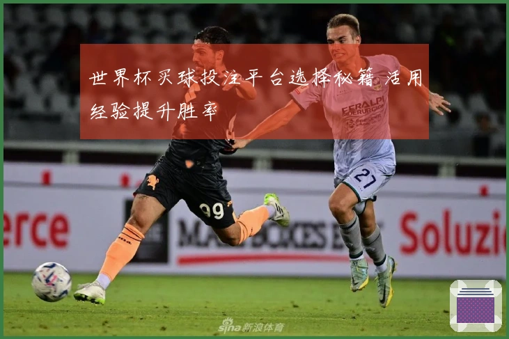 世界杯买球投注平台选择秘籍 活用经验提升胜率