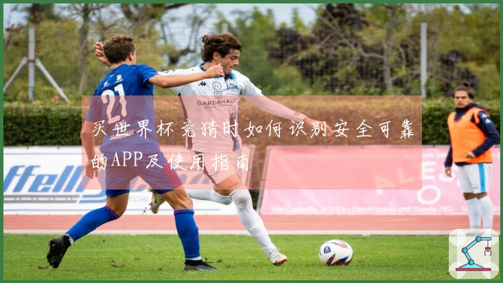 买世界杯竞猜时如何识别安全可靠的APP及使用指南